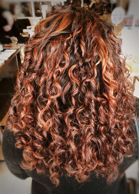 copper highlights on dark brown curly hair|Brown curly hair with copper highlights